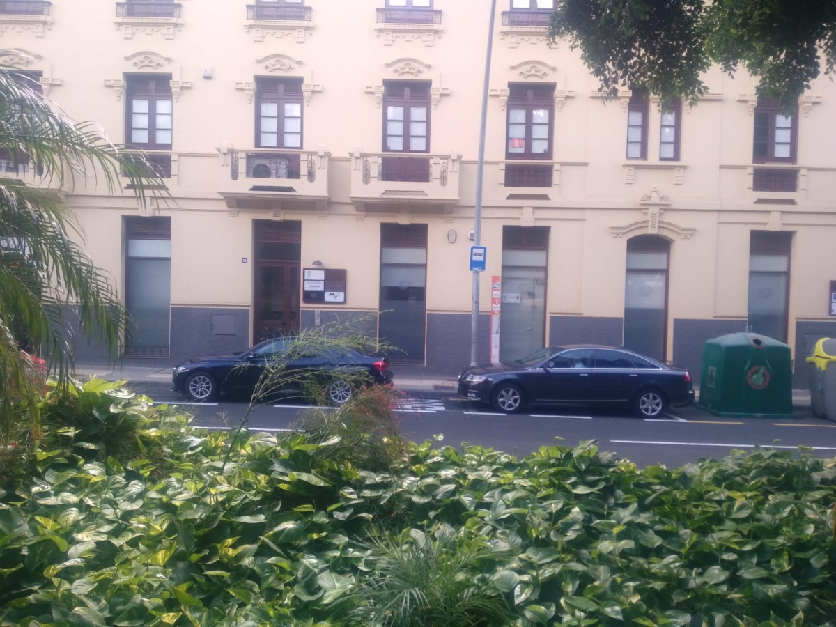 COCHES OFICIALES