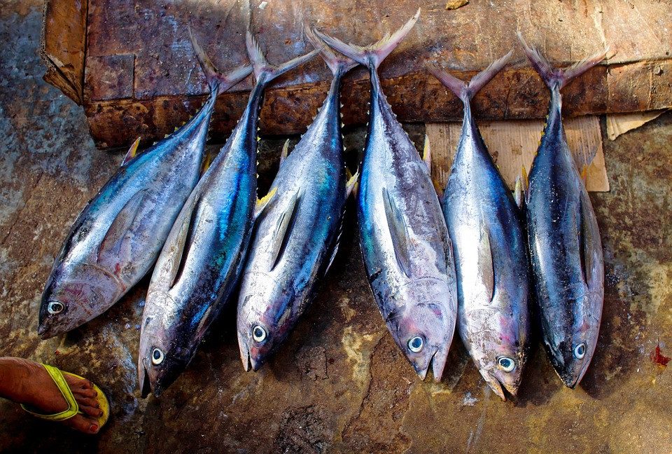 ATUN