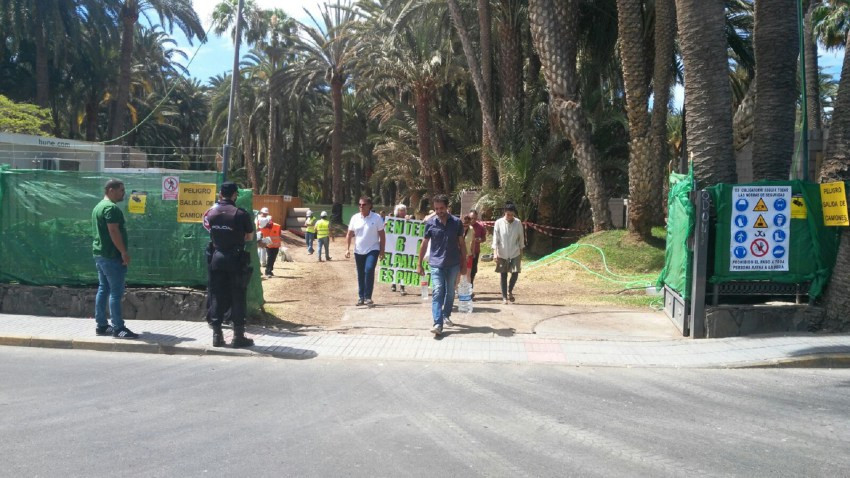 Palmeral de Maspalomas Turcu00f3n
