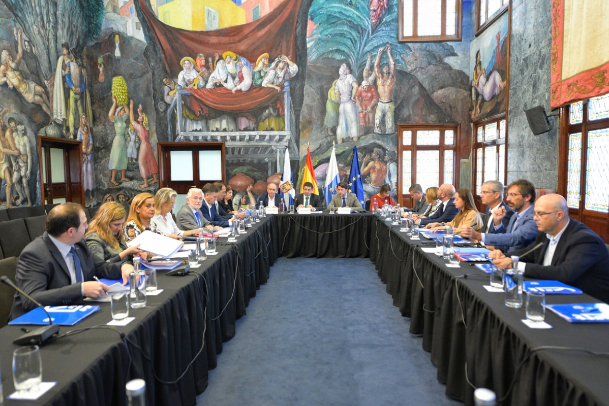 Tenerife Reuniu00f3n Comisiu00f3n FEMP (4)