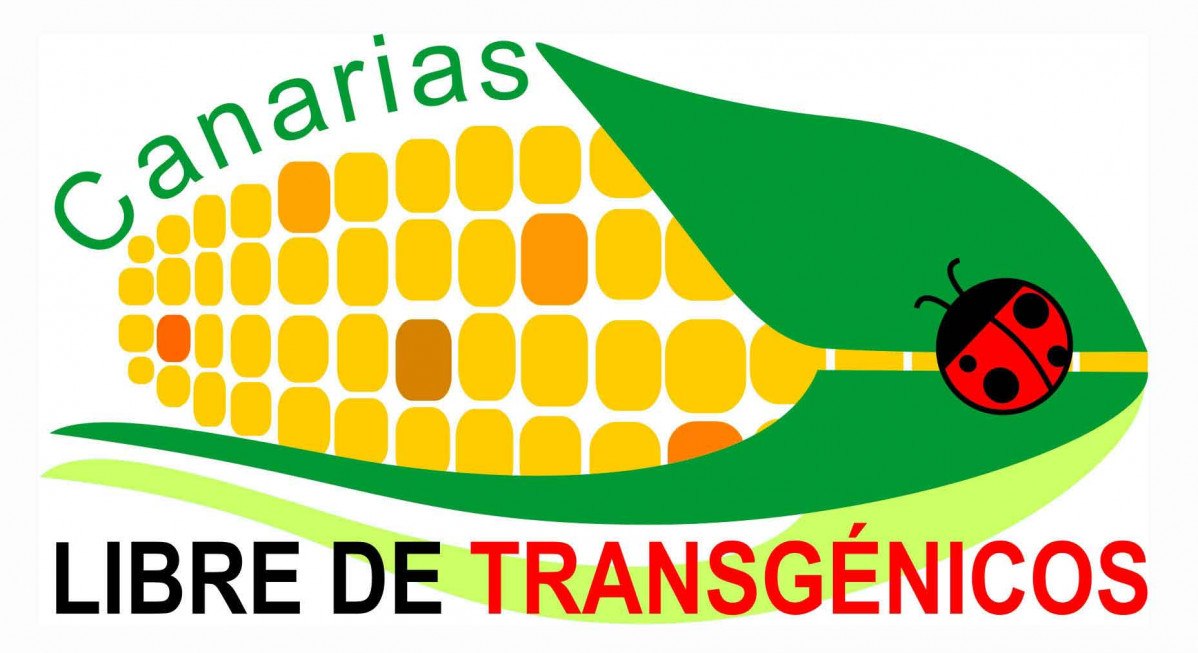 Logotipo definitivo 29oct20