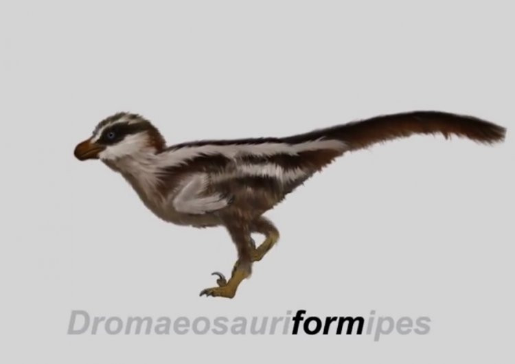 DINO