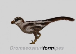 DINO