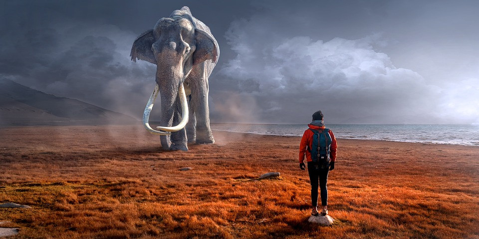 MAMUT ANTIC