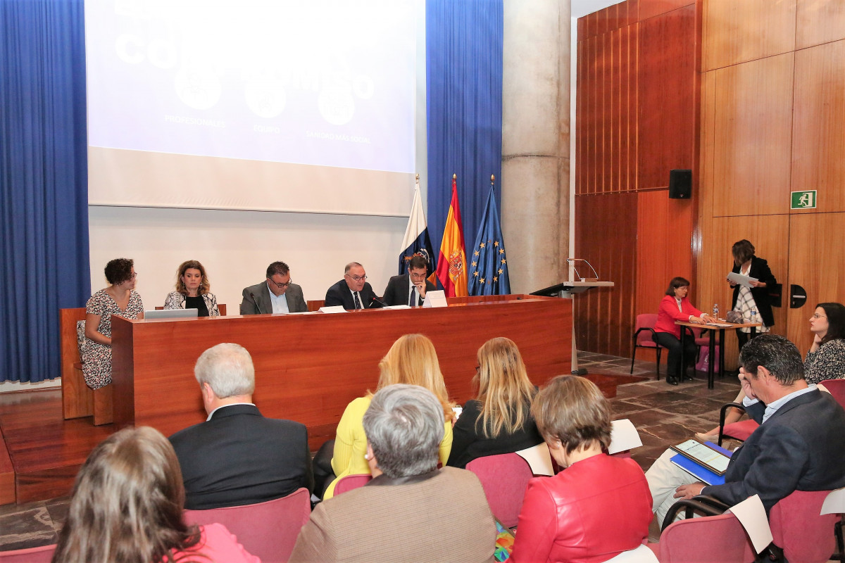 Baltar durante la reuniu00f3n del Consejo Canario de Salud