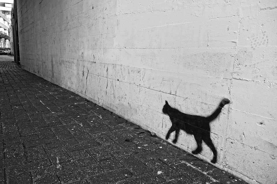 GATO