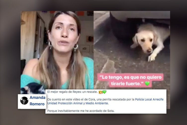 Perrita Arrecife