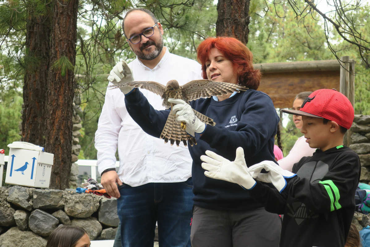 Aves recuperadas en La Tahonilla Suelta
