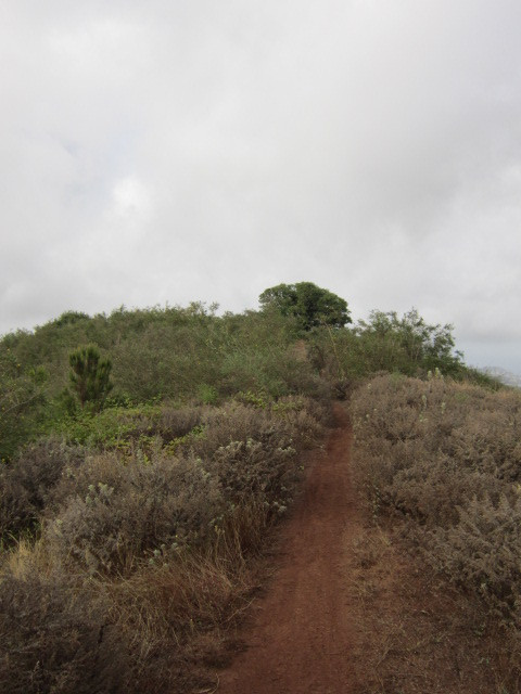 PICO RAYO OSSORIO 18.8.18 048