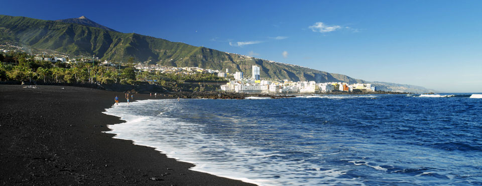 Playa jardin fc