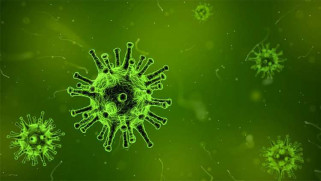Cientificos logran detectar una conversacion entre virus