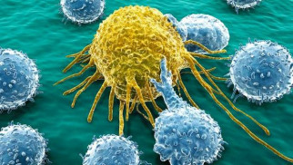 Celula cancer cura globulos blancos